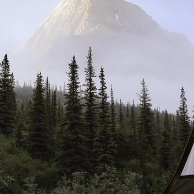 SilasXan's profile picture. 