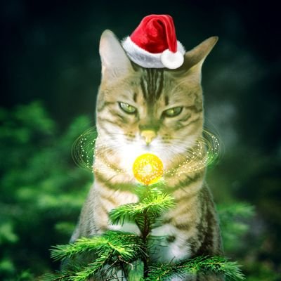 crowmet25823's profile picture. 웹소설,웹툰,돈,주식,투자,그림,앵무새일상💙
평생 책읽고 그림보면 설레는사람.
귀여운건 세상을 구한다. 성인여성

#블루레이디 #투자공부