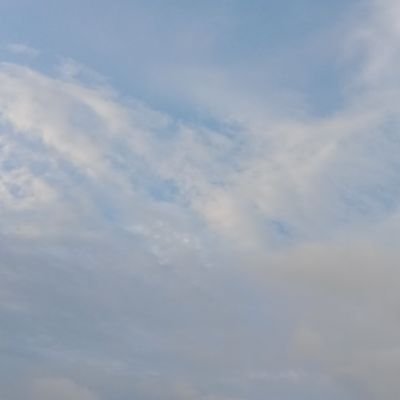 indhukarth86953's profile picture. 