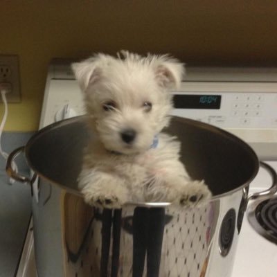 justloo0kin's profile picture. 취준생 독서영화일상계정