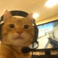 realxrc's profile picture. Content Creator / Editor | Work/ed With ??? | #Hopped💤