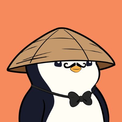 sharkquy's profile picture. 