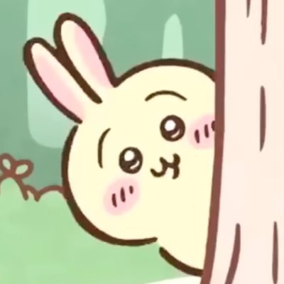 ssummersnoww's profile picture. TJBB🚀 WHH🐺 LIL🧡