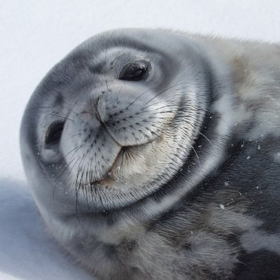 gammesgg's profile picture. 