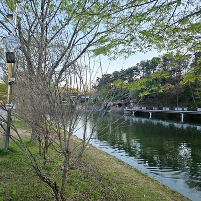 heajin98's profile picture. 파괴된 인간의 마음