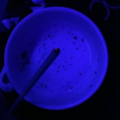 FailedLawyerr's profile picture. Former Captive | Navigating the UAPA | Cipher.