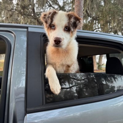 MEL18451's profile picture. It's always funny until someone gets hurt - then it's just hilarious !