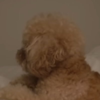 myheart2hot's profile picture. 