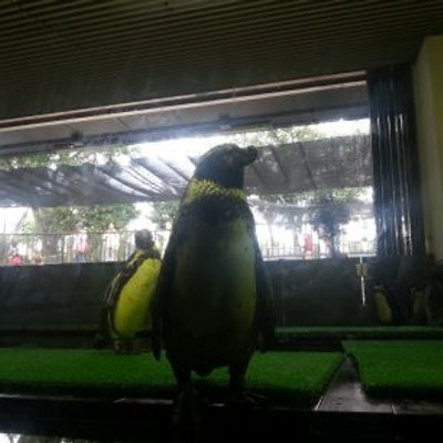 andiruslay's profile picture. 株式投資(元手資金300万スタート)/サイクリング/読書/アラサー会社員/投資対象は日本🇯🇵の個別株オンリーで毎日全ての適時開示チェックして気になる材料について呟きます🐢
個別株投資を極めるために毎日勉強中🤓