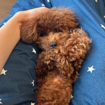 natou_rl's profile picture. EPICID:Dualcatshark6599🇯🇵 ps4 17🦏@nnxngbizdh1←師匠12457