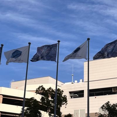 aBJOxORcAK86472's profile picture. 