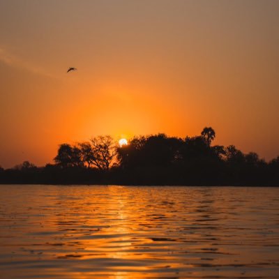 jaimefbc's profile picture. 