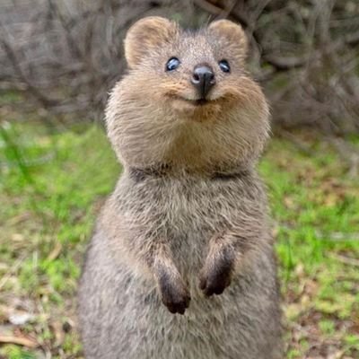 anodvxysoa's profile picture. 여행은 제가 세상에 대해 더 많은 인식과 관점을 갖게 해줍니다.
완료: 중국, 일본, 태국, 베트남, 두바이, 미국, 유럽...