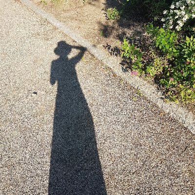 kamomatou's profile picture. On a quest for meaning in the post-Enlightenment world | purveyor of nuance | #CovidIsAirborne 😷 | she/her | European