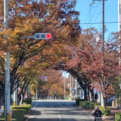 njyk0810's profile picture. 802リスナーです。802関連でつぶやいてる方は、勝手にフォローしちゃいます、すみませんm(_ _)mよろしくお願いします(ゝω・)最近はCOCOLOも聴いてます🥰