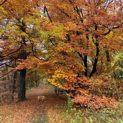 soloqtme's profile picture. Retired RN, Argyll & Clyde Health Board NHS Scotland. #YesScot,Scottish Extremist “ apparently “