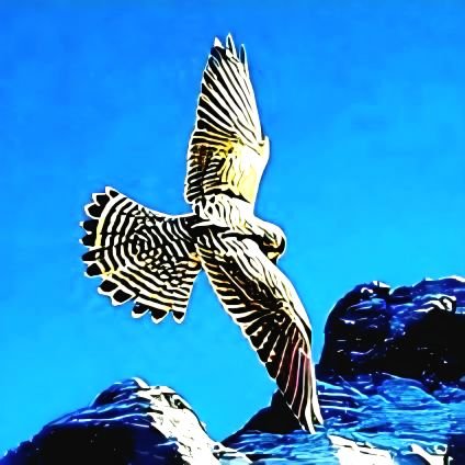 breisgauer_01's profile picture. Sapere aude - libertatem protegere