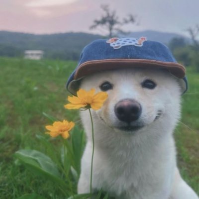 sunshower_03's profile picture. 재현 가능한 투자를 지향합니다