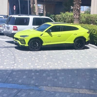 govind03's profile picture. 