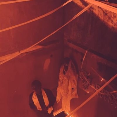 dfwtosine's profile picture. nothing concern me with your papa opinion|| nameisspeltbackwards