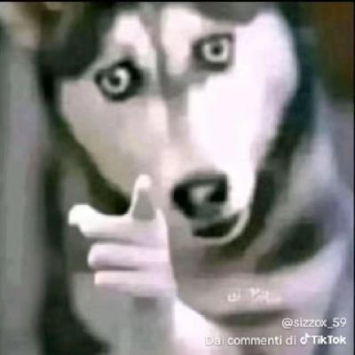 Ingravidi192227's profile picture. 