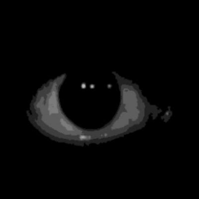 K8457371Kinome's profile picture. 