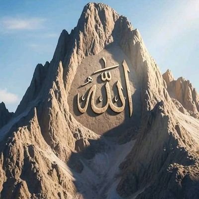 YwnsA58804's profile picture. 