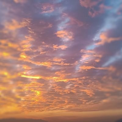 lclperrone's profile picture. 