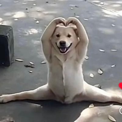 ssaradrey's profile picture. 