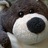 FredColBear's profile image