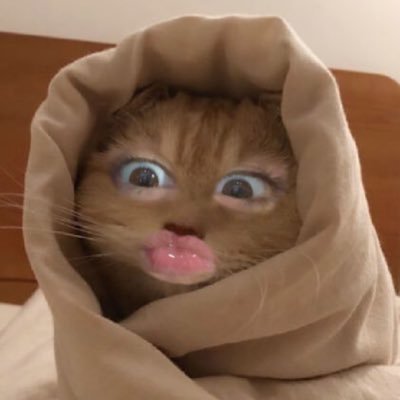 m1nbomi's profile picture. ——pour les mimis🍰 #backupacc