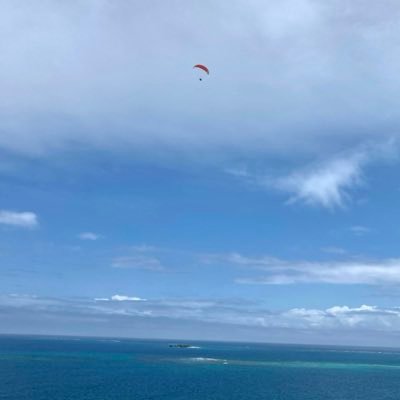 mainstreetbet's profile picture. 