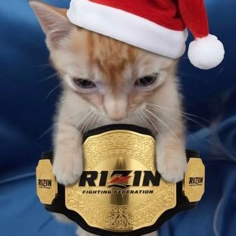 yutaka_2539's profile picture. ファイトメモリー(@fightsmemory)さんほんとにお願いします、ブロック解除してくださいお願いします