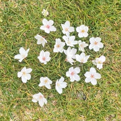 cQ0Tru3rbr59956's profile picture. タムファン（8人全員推しです）ですが、特にしの担です！！！しのを全力で応援している社会人です！！！篠塚担のお姉様方とお話ししたいです！！！！！