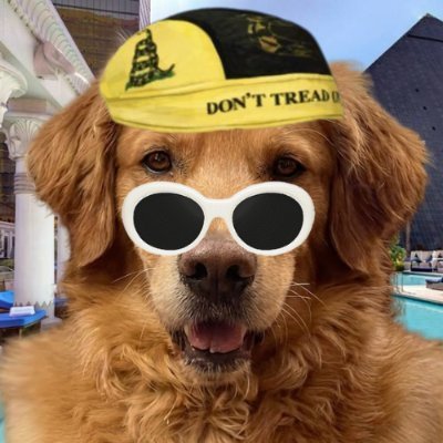 muttonso1ana's profile picture. Mutt. Hd69e43WmUeQZW9h4BoZVL8w6AsQ1dMnNPtnEtuNd3SN