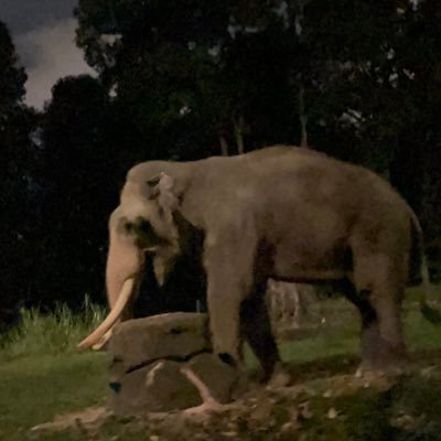 vade03's profile picture. 