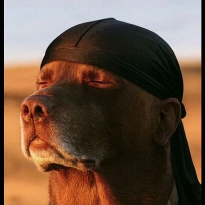 OtokitiAyo60's profile picture. Here for cruise 👌
IFB instantly