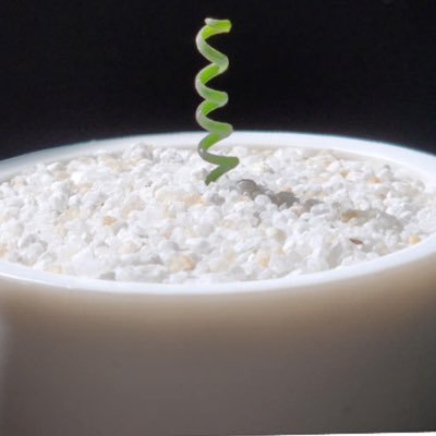 EYeong33907's profile picture. n번째 정지..2