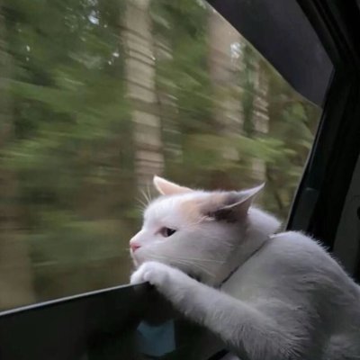 memewininfuture's profile picture. Ratie，ScoreCat.
These are Ad Units.👆
Your brand must be  represent an indispensable creation of human civilization.