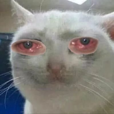 AnarchyGhoul69's profile picture. Just a pansexual, masc-genderfluid poly chaos-thelemist artist and shitposter (they/them)
This profile triggers fascists