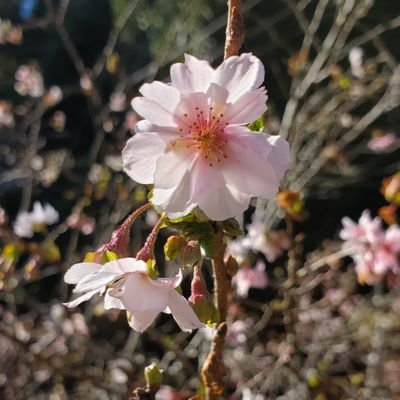 bestfreen_d's profile picture. Opinions reflect personal choices, not facts. It’s unnecessary to feel threatened or argue over which opinion is correct, because oftentimes, no one is right.