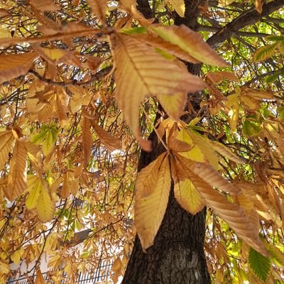 MelikeDoruk12's profile picture. Psikolojik desteği kendi varoluşsal argümanlarımla yeniden var ediyorum.
Deneyimlemek isteyenler benimle bağlantı kurabilir.😉