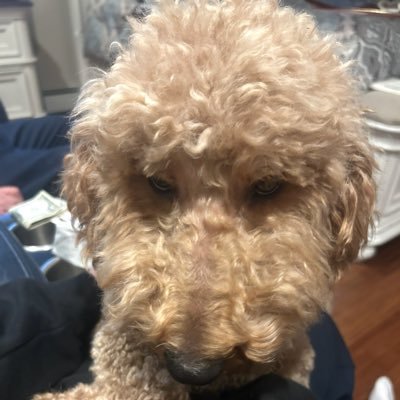 Fatal131100's profile picture. 