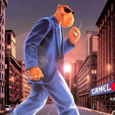 bertenbauer's profile picture. 