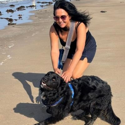 loquacious334's profile picture. Jack of all trades, master of none.