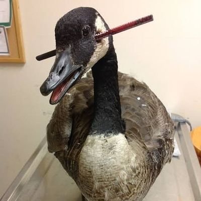 MikeDeeKing's profile picture. There is always enough⏳