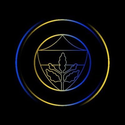 fenerbahe820538's profile picture. Fenerbahçe 💛💙 ⭐️⭐️⭐️⭐️⭐️ anti himmetçi atatürkçü