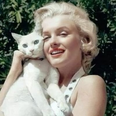 marilynsboii's profile picture. with I serve 🌊 with you I fall down 👇