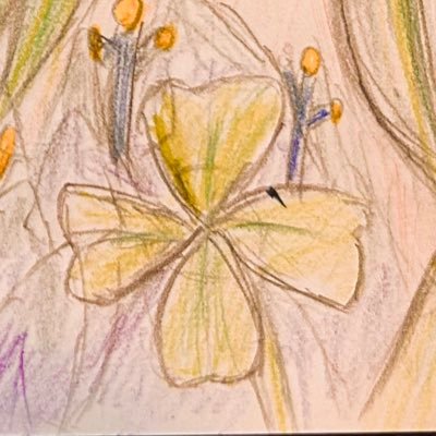 Mitsu_Mitsu_168's profile picture. リバリバ/原神/ゼンゼロ 【18↓】https://t.co/Ow72tiLWuC ←適当に送りつけていいよ！！ お別れはブロ解 自我強すぎるので要警戒 鍵→@MMM_168_s