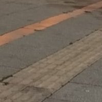 GulerUzgun's profile picture. Buraya ne gibi kişisel bilgi yazmam lazım cv falan mı